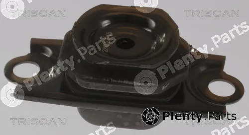 Triscan 850525123 — Mounting, engine
