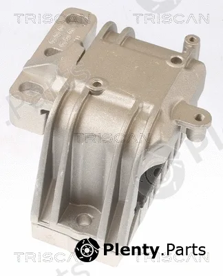 Triscan 850529119 — Mounting, engine
