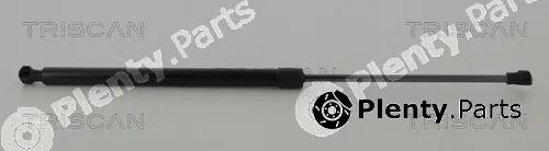 Triscan 871028248 — Gas Spring, boot/cargo area