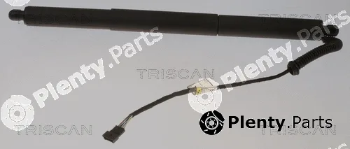 Triscan 871011307 — Gas Spring, boot/cargo area