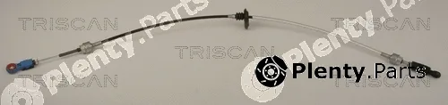 Triscan 814023704 — Cable Pull, automatic transmission