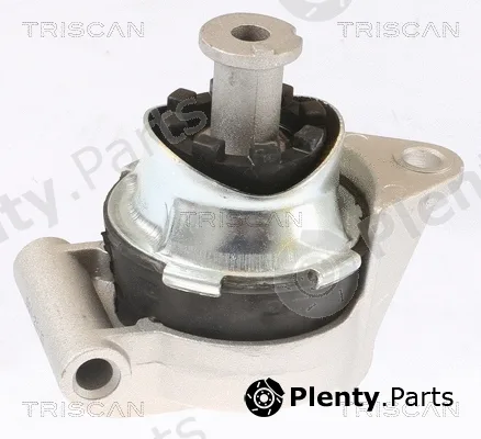 Triscan 850524117 — Mounting, engine