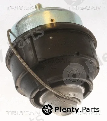 Triscan 850527102 — Mounting, engine
