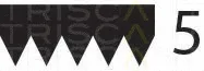 Triscan 8640502063 — V-Ribbed Belt