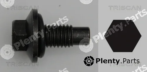 Triscan 95001016 — Screw Plug, oil sump