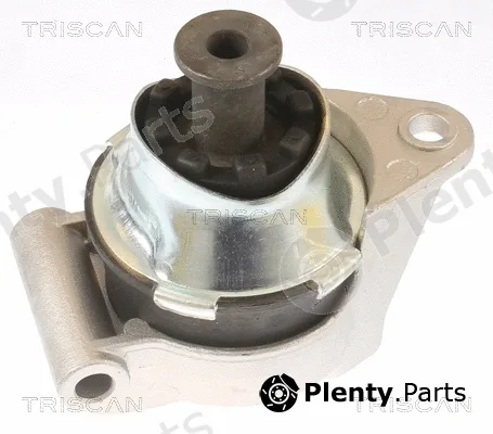 Triscan 850524110 — Mounting, engine
