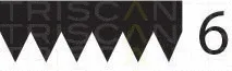 Triscan 8640601725 — V-Ribbed Belt