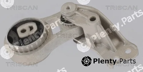 Triscan 850516117 — Mounting, engine