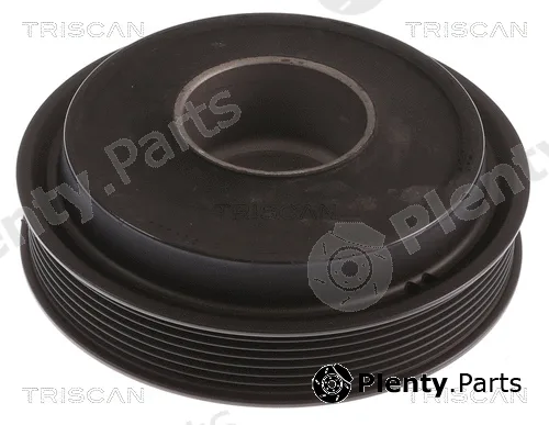 Triscan 864316006 — Belt Pulley, crankshaft