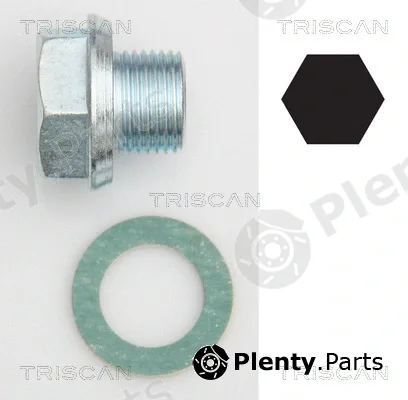 Triscan 95001301 — Screw Plug, oil sump