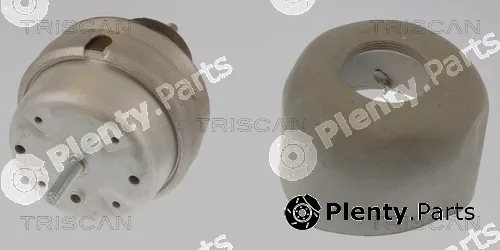 Triscan 850529166 — Mounting, engine