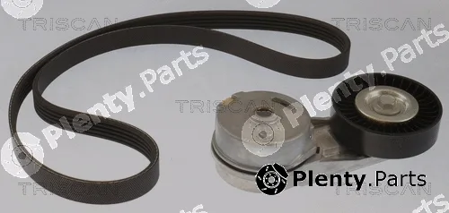 Triscan 864210028 — V-Ribbed Belt Set