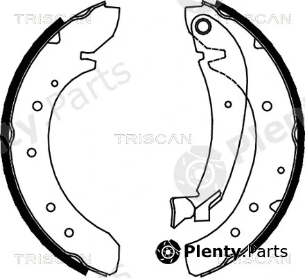 Triscan 810010576 — Brake Shoe Set