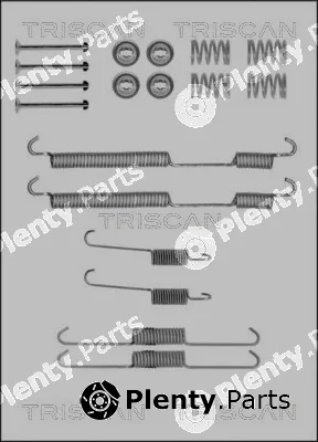 Triscan 8105102580 — Accessory Kit, brake shoes