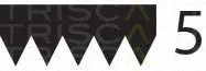 Triscan 8640500933 — V-Ribbed Belt