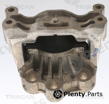 Triscan 850516121 — Mounting, engine