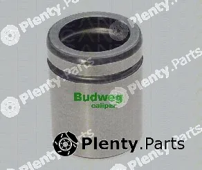 Triscan 8170234416 — Piston, brake caliper