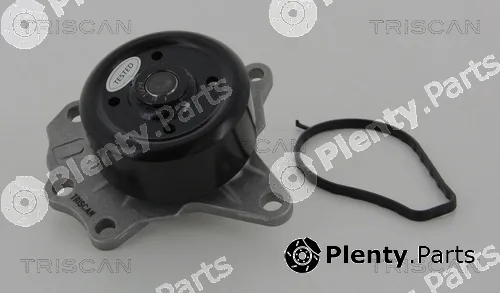 Triscan 860013041 — Water Pump, engine cooling