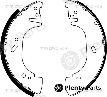 Triscan 810010002 — Brake Shoe Set