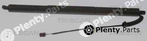 Triscan 871029305 — Gas Spring, boot/cargo area