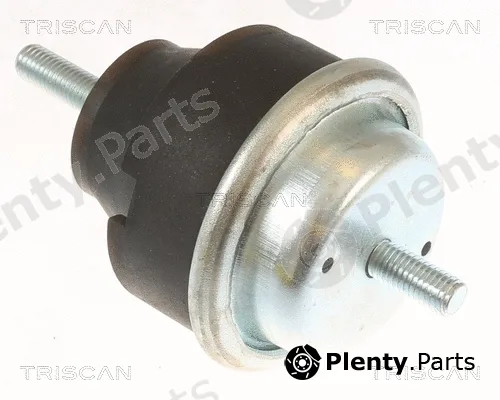 Triscan 850528106 — Mounting, engine