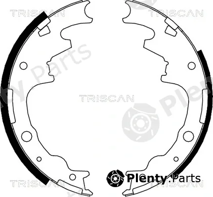 Triscan 810010015 — Brake Shoe Set