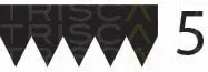 Triscan 8640501193 — V-Ribbed Belt