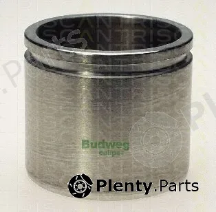 Triscan 8170236011 — Piston, brake caliper