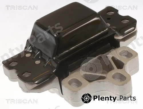 Triscan 850529116 — Mounting, engine