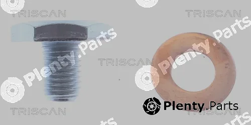 Triscan 95001010-20 — Screw Plug, oil sump
