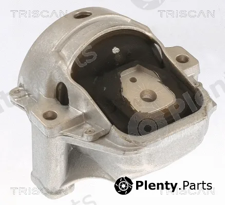 Triscan 850529155 — Mounting, engine