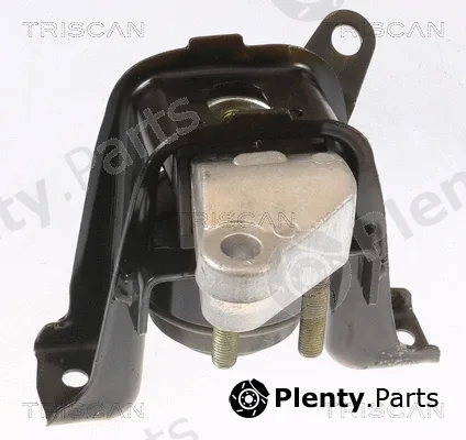 Triscan 850513100 — Mounting, engine
