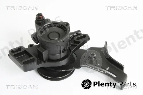 Triscan 851525607 — Hydraulic Pump, steering
