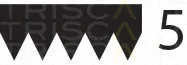 Triscan 8640501148 — V-Ribbed Belt