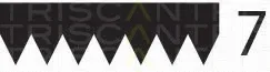 Triscan 8640702053 — V-Ribbed Belt