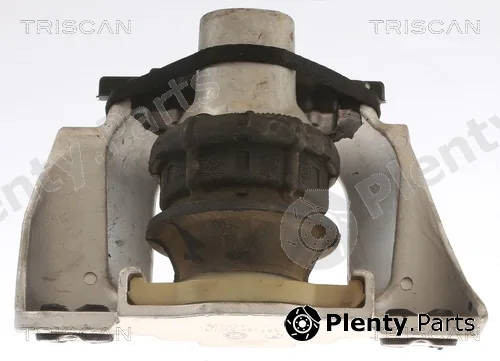 Triscan 850527105 — Mounting, engine