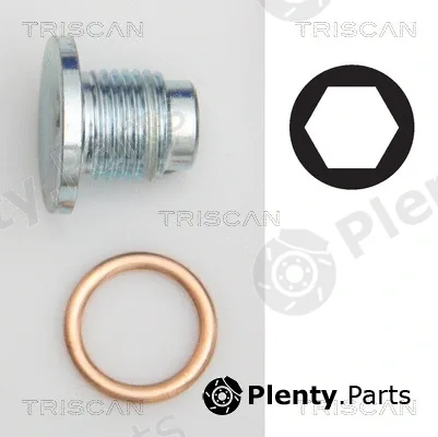 Triscan 95001019 — Screw Plug, oil sump