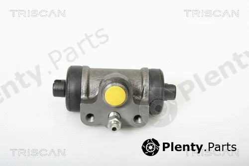 Triscan 813042019 — Wheel Brake Cylinder