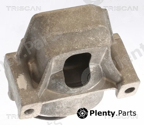 Triscan 850529196 — Mounting, engine