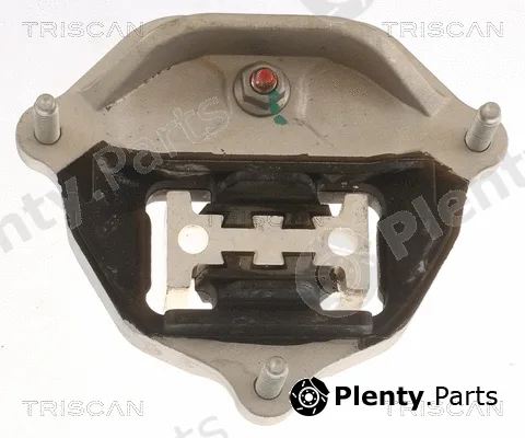 Triscan 850529216 — Mounting, automatic transmission