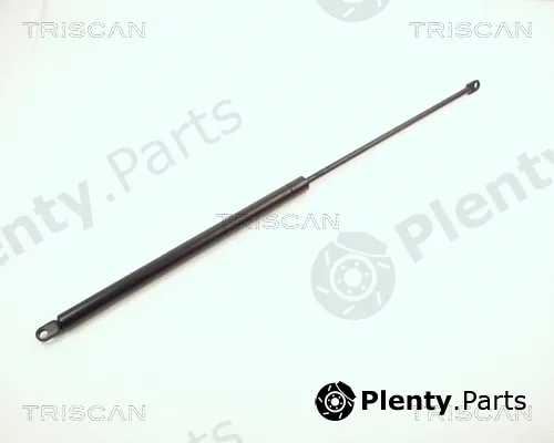 Triscan 87101504 — Gas Spring, boot/cargo area