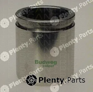 Triscan 8170234810 — Piston, brake caliper