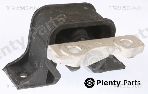 Triscan 850524106 — Mounting, engine