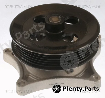 Triscan 860024057 — Water Pump, engine cooling