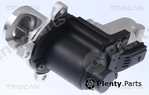 Triscan 881329015 — EGR Valve