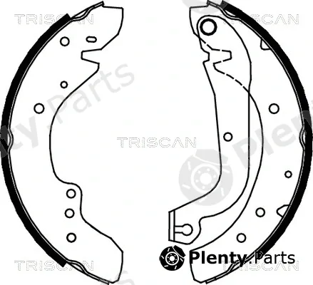 Triscan 810010577 — Brake Shoe Set