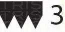 Triscan 8640300960 — V-Ribbed Belt