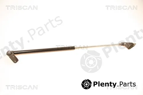 Triscan 871018204 — Gas Spring, boot/cargo area