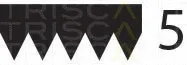 Triscan 8640500970 — V-Ribbed Belt