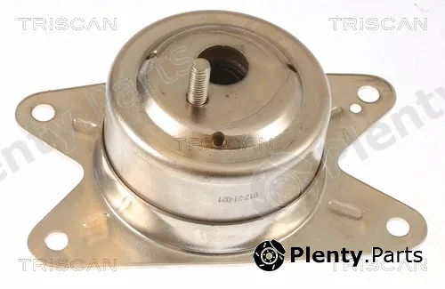 Triscan 850524111 — Mounting, engine